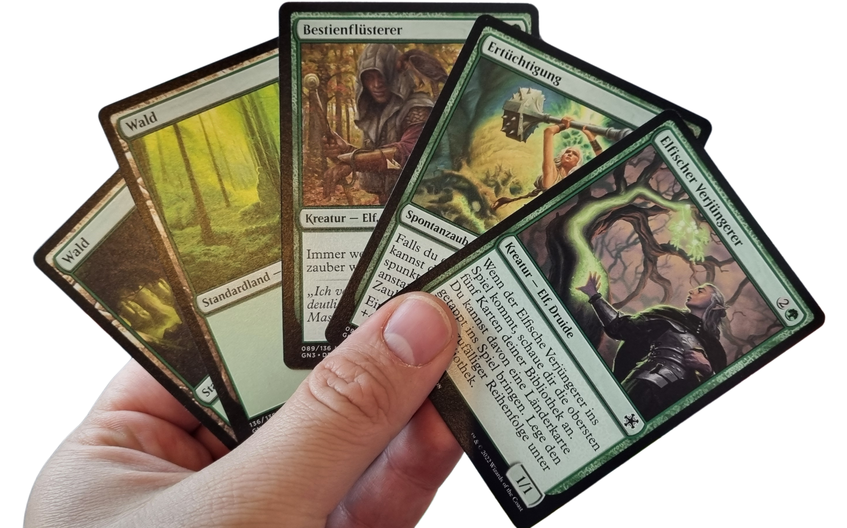 card-hive-karten Karten in einer Hand